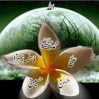 Iram Haider