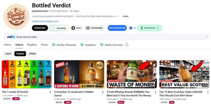 📊 Niche Channels = Hidden Gold on YouTube