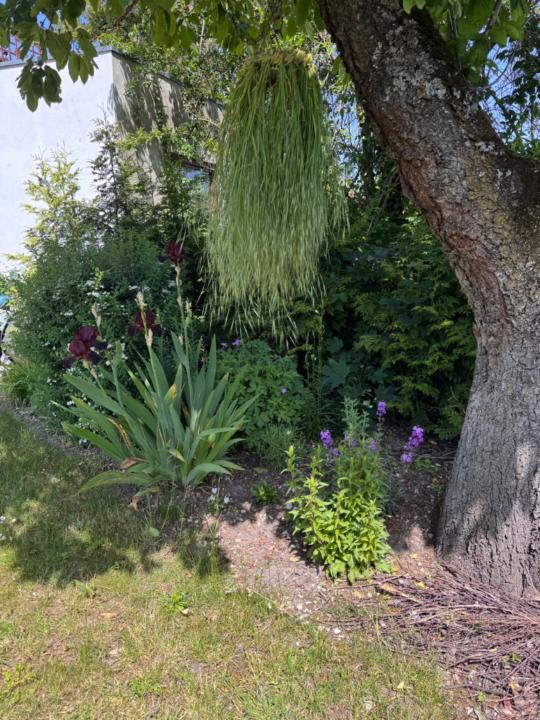Bea Garden