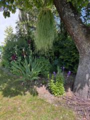 Bea Garden