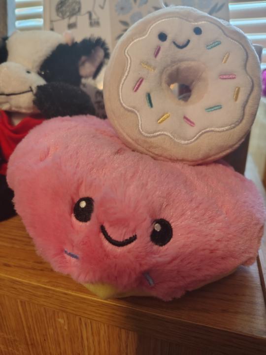 I think I adopted a $5 mascot... 