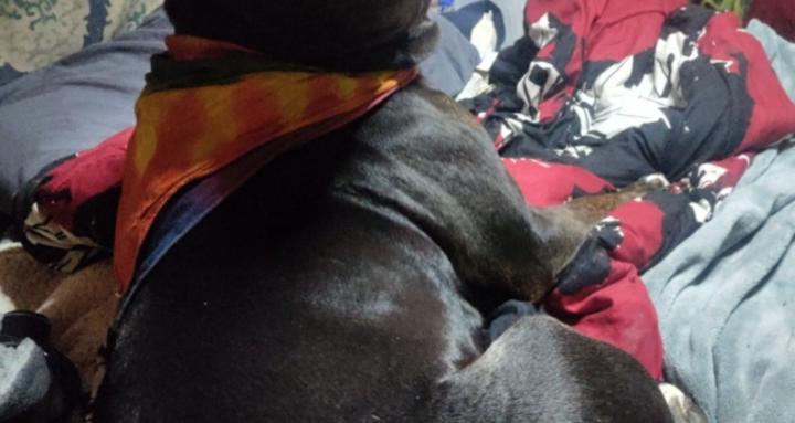 Advice?! I'm full of it!!!!