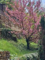 Галя Кирова