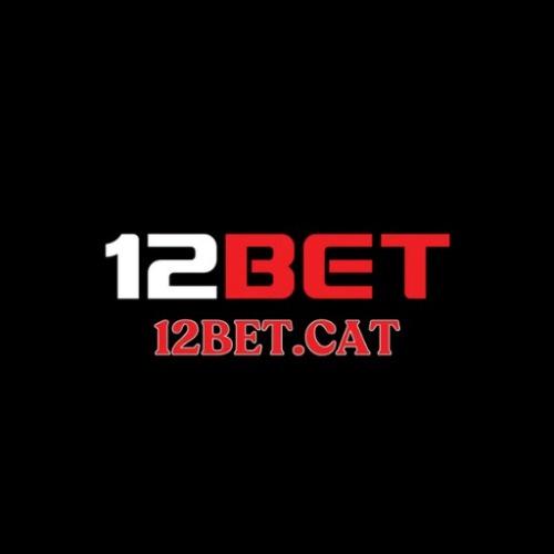 Bet Cat