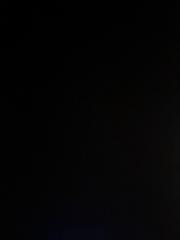 Leonardo Arce mamani