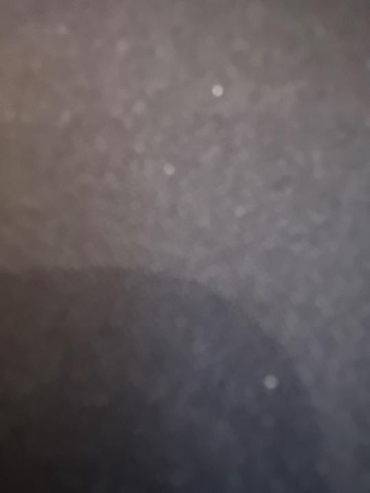 Tania Van den brande