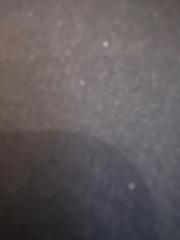 Tania Van den brande