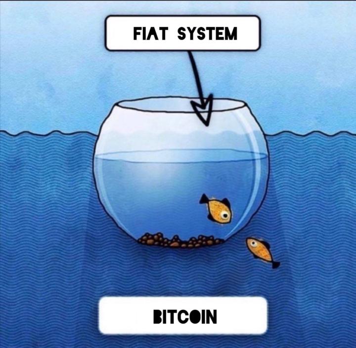 Fiat vs Bitcoin