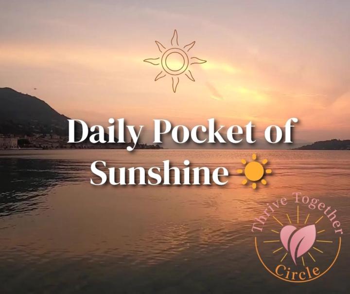 ☀️Your Daily Pocket of Sunshine ☀️