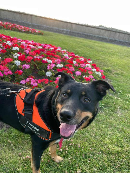 Let's get to know one another