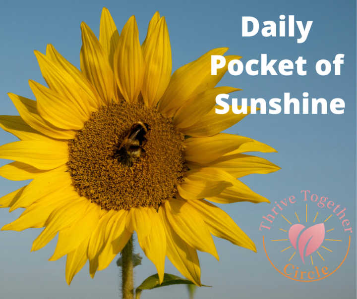 โ๏ธ Judeโs Daily Pocket of Sunshine โ๏ธ
