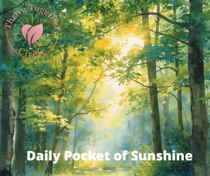 ☀️ Jude’s Daily Pocket of Sunshine ☀️