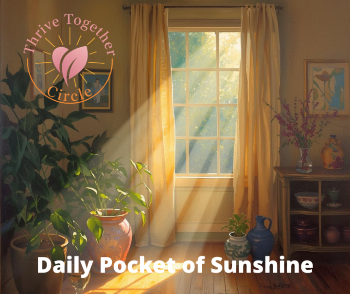 ☀️ Judes Daily Pocket of Sunshine ☀️