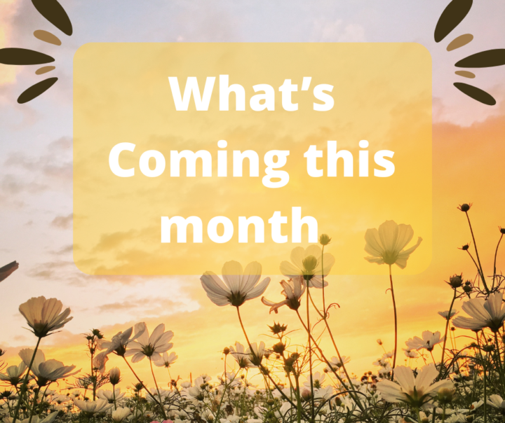 ✨Line up for March ✨