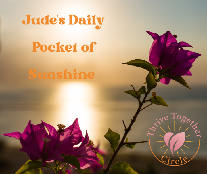 ☀️ Jude’s Daily Pocket of Sunshine ☀️
