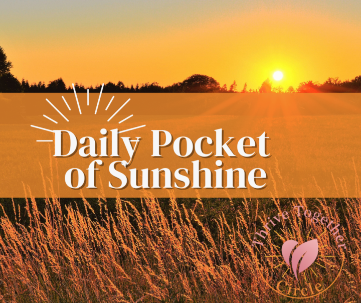 ☀️Jude's daily pocket of Sunshine ☀️