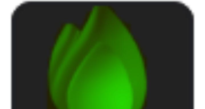 ActivityLeaders 💚 100 FLAMES 