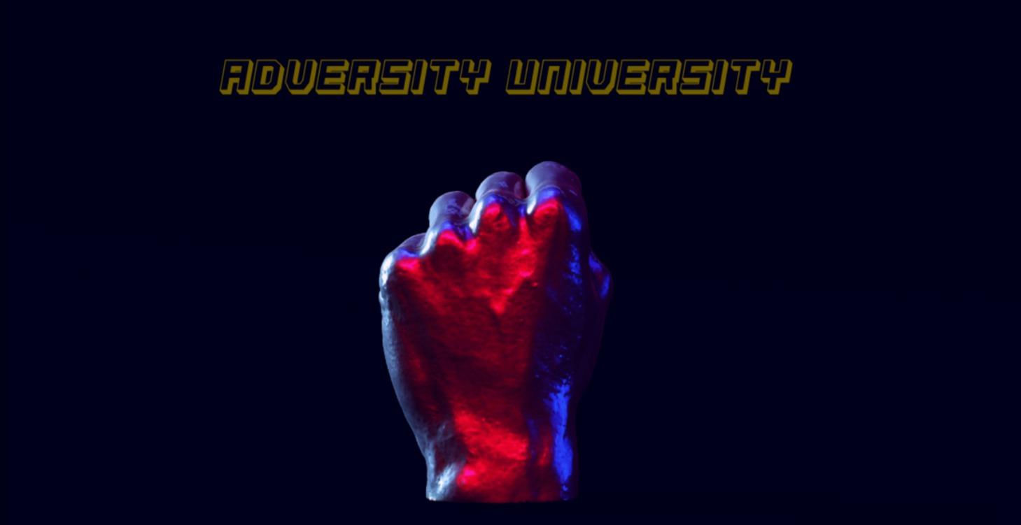 Adversity University - 3-month life overhaul