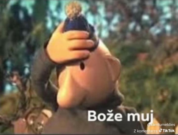 Maja Chorąży