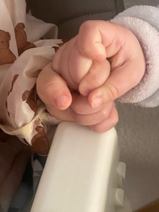 Meriame Dahhan Hassoun