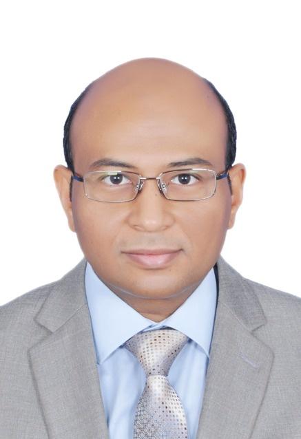 Amro Hassan