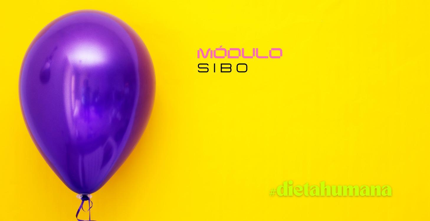Módulo SIBO