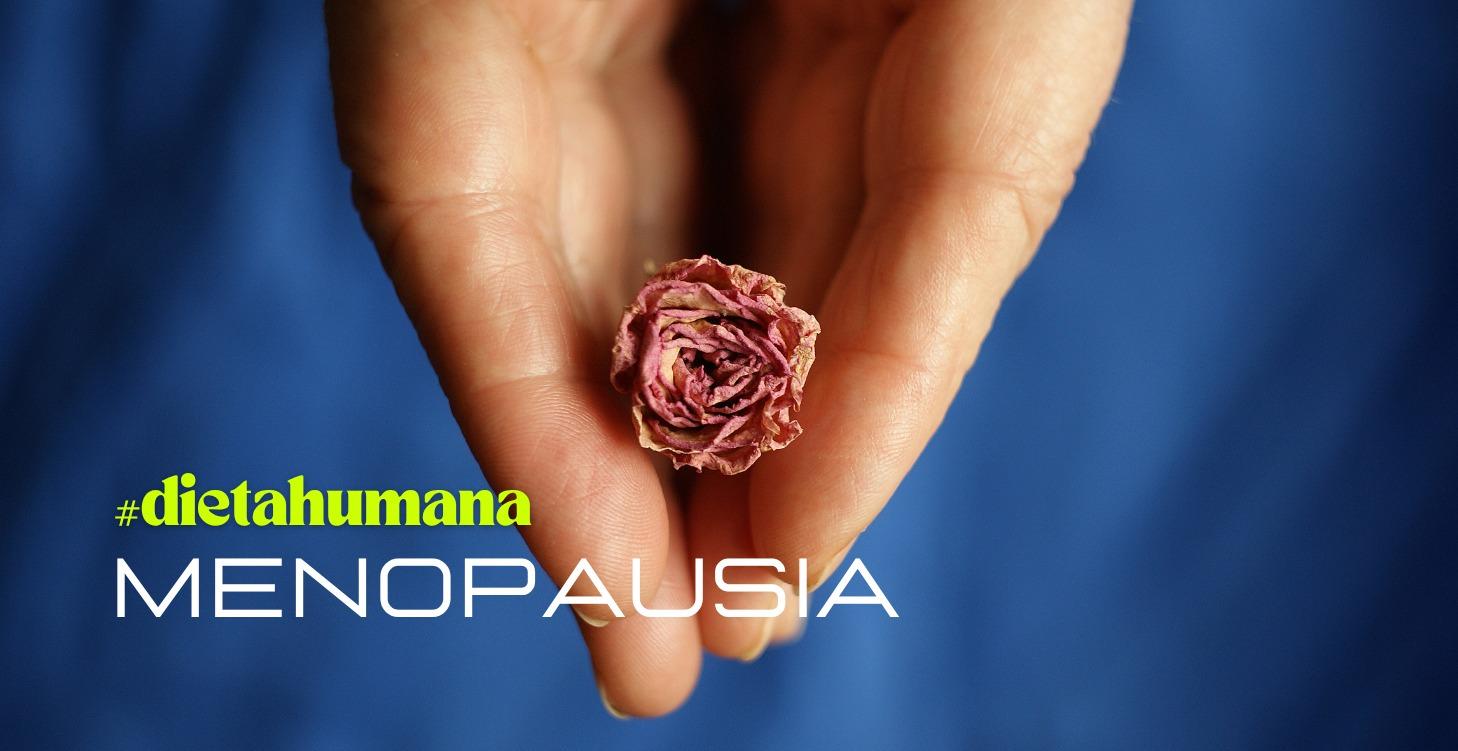 Módulo Menopausia