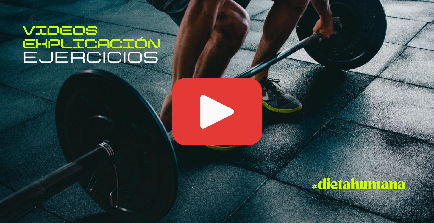 Explicación ejercicios gym en video