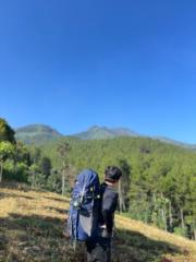 Holong Sihombing