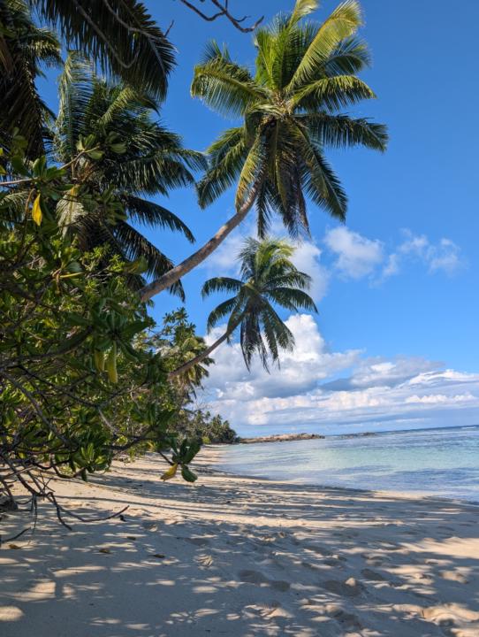 Felix Schröter-Ebel