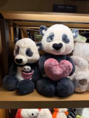 Anne Lin