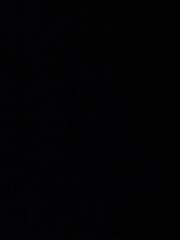 Le roi Mwine ngoy mutengwa