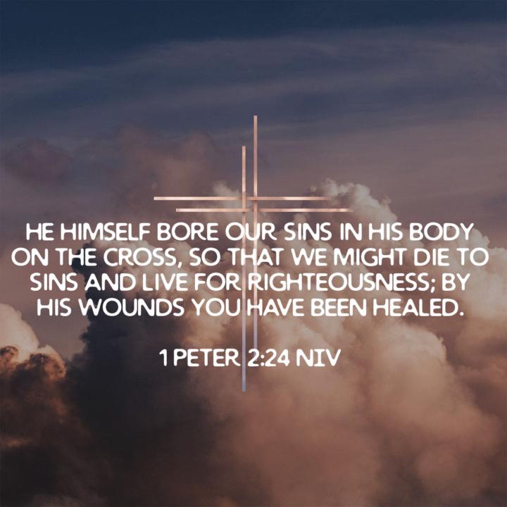 The Kings Doctrine Links and Learning Material