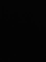E S