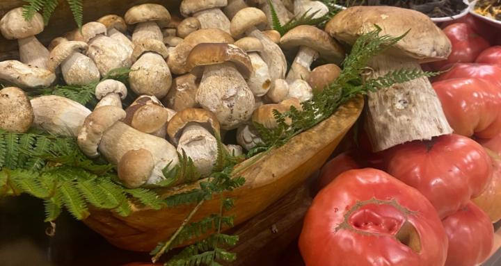 HOME COOKING MASTER CLASS