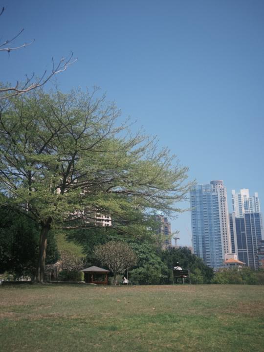繁雜工作的空檔，還是要來點芬多精吧