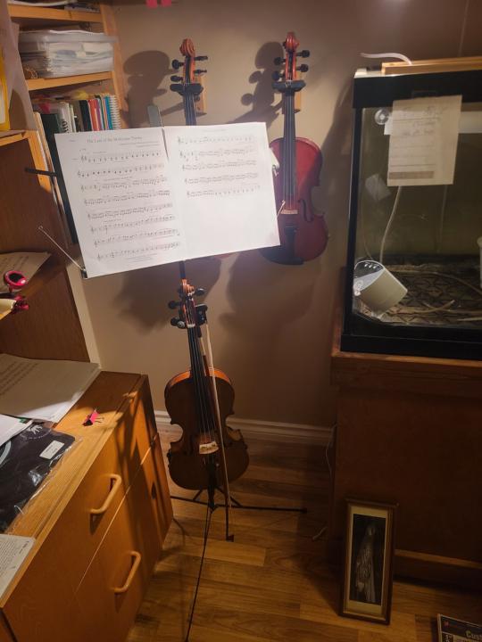 Violin Playspace