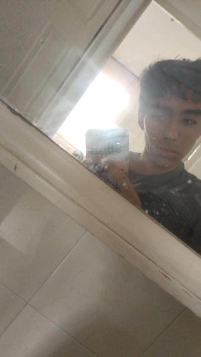 Luis amado Gallegos Adame