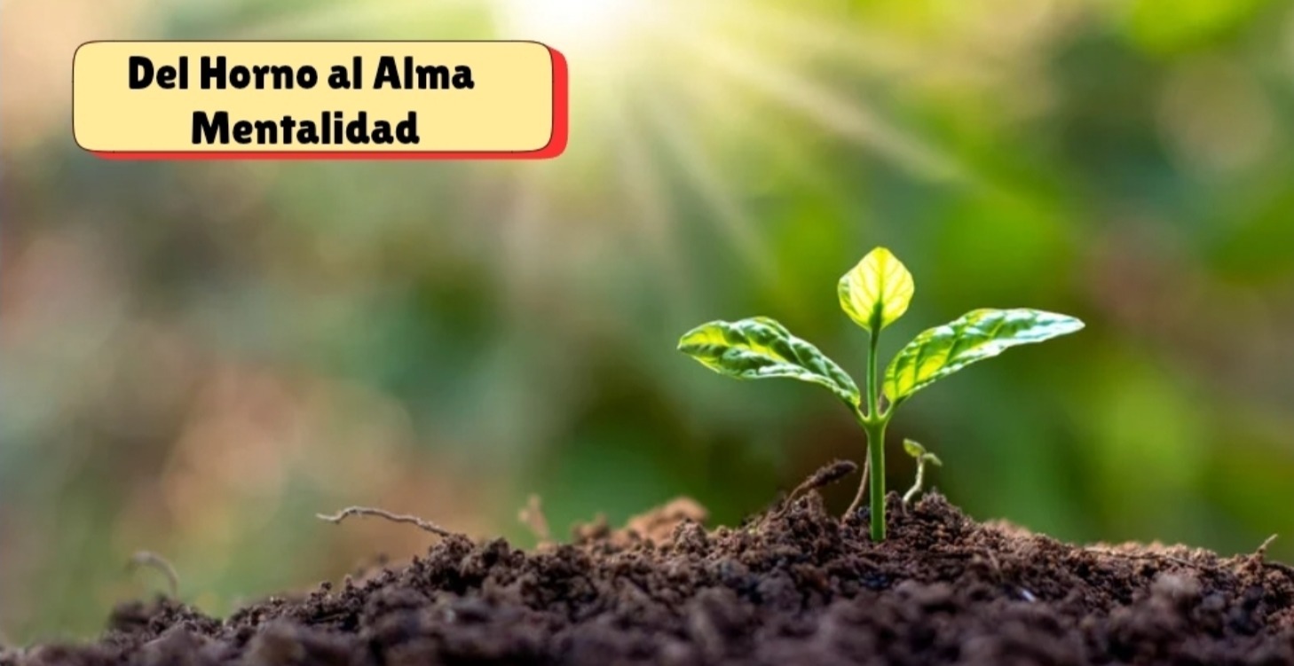 Mentalidad ✨️