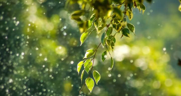 Living Young with Jane