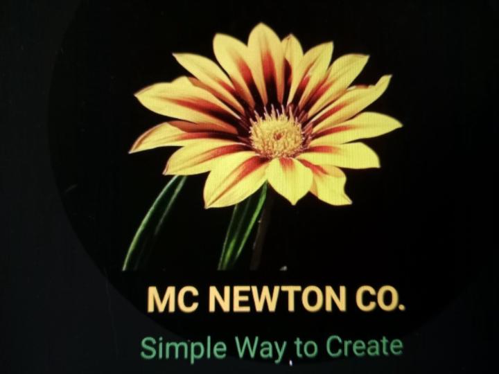 Mc Newton