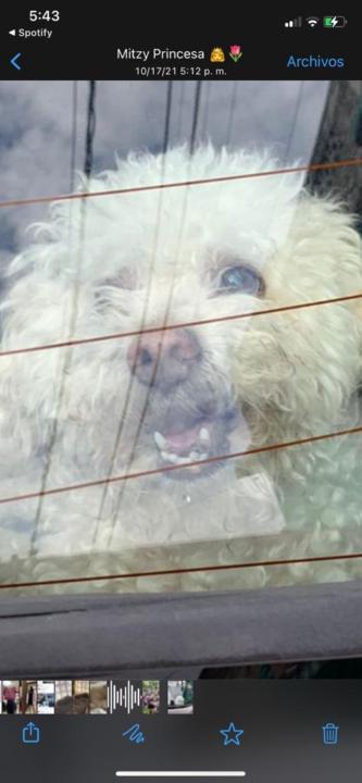 Marco ivan Cobos moreno