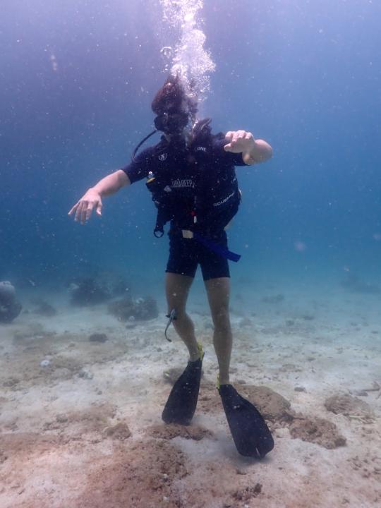 Niklas Hackmann