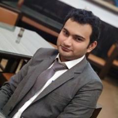 Hassan Anwar