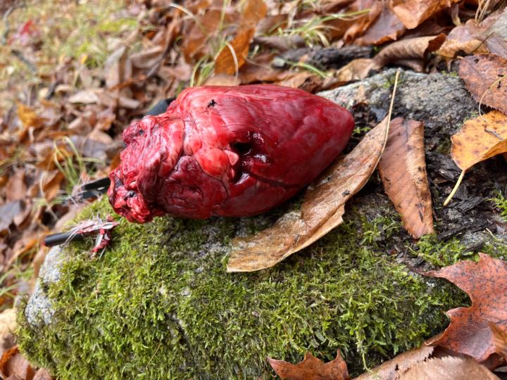 The perfect heart shot 