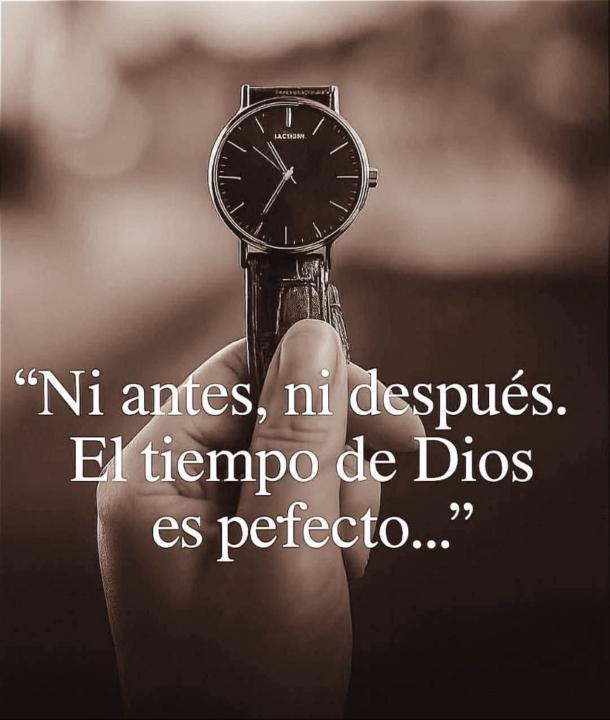 Didier Bedoya