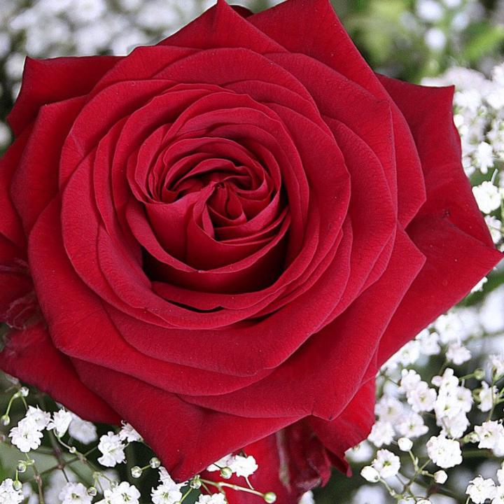 Madline Claudia Eberhardt