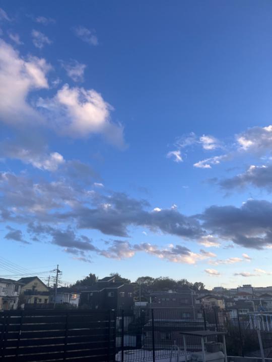 山口 桃子