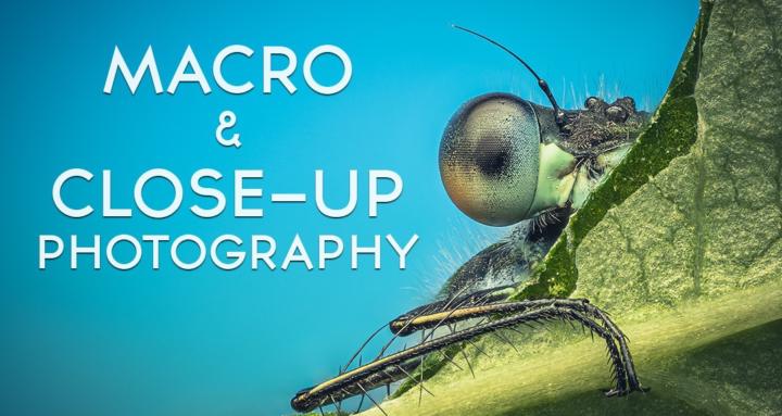 Macro & Close-up Photography