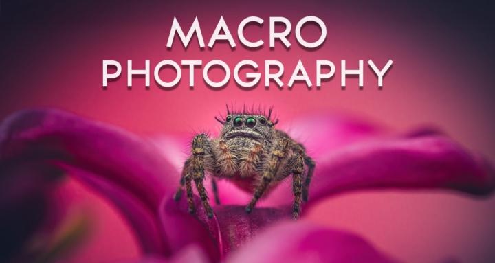 Macro Photography